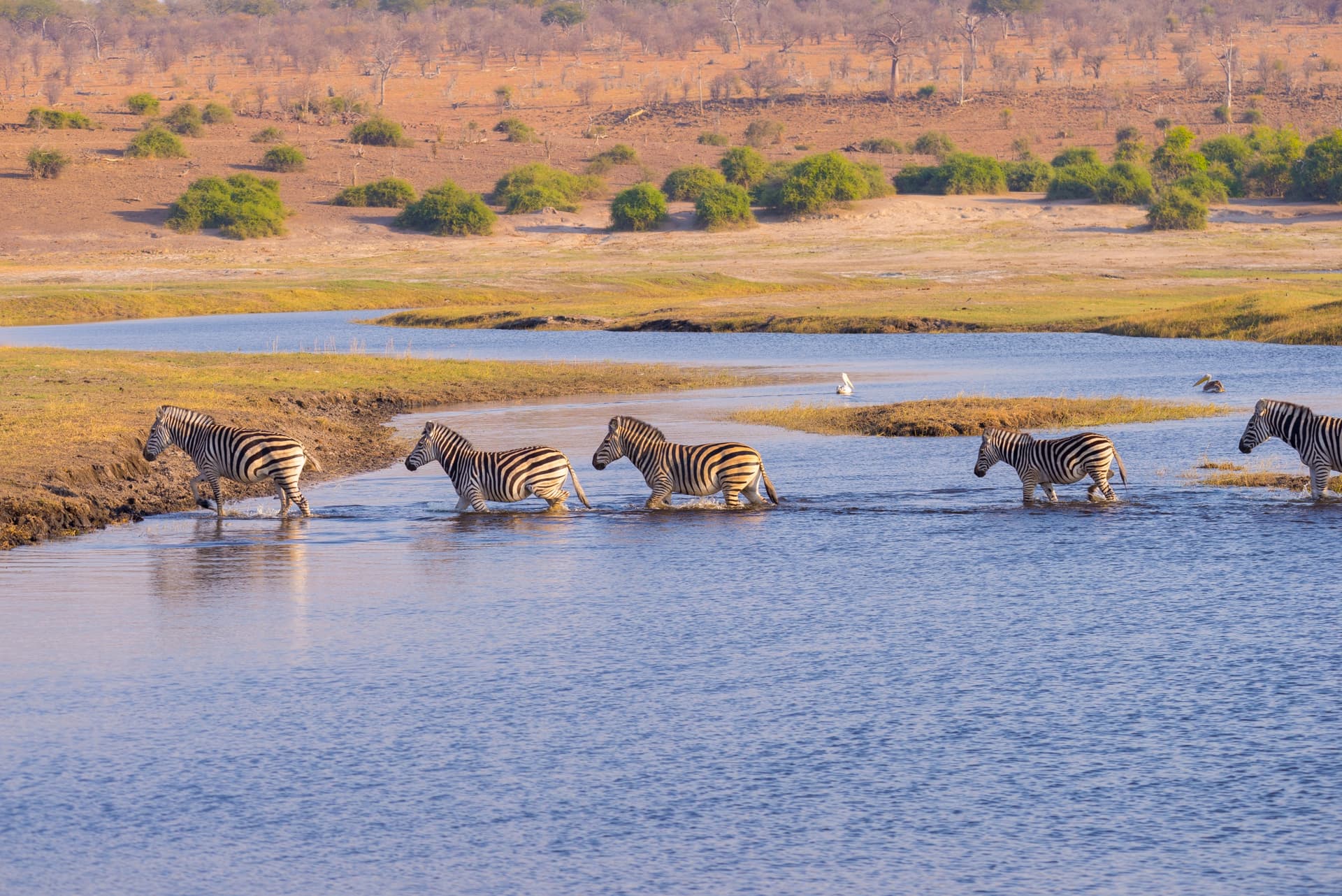 Zimbabwe salvaje: entre safaris, Cataratas Victoria y río Chobe