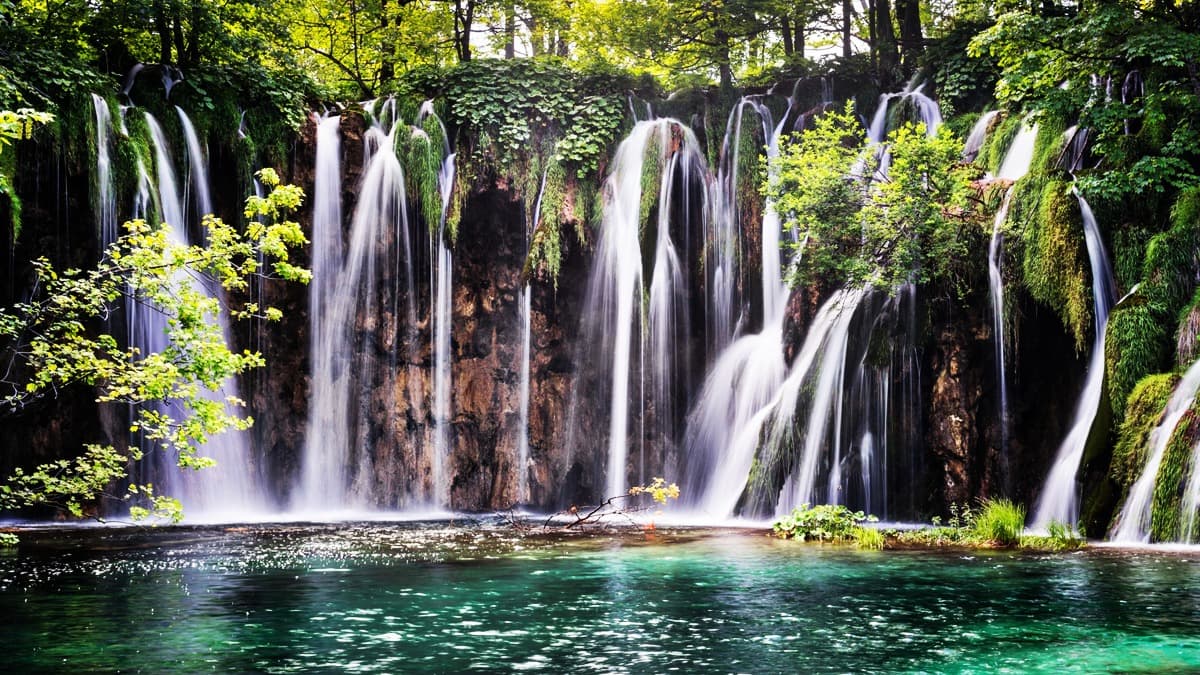 Jour 5