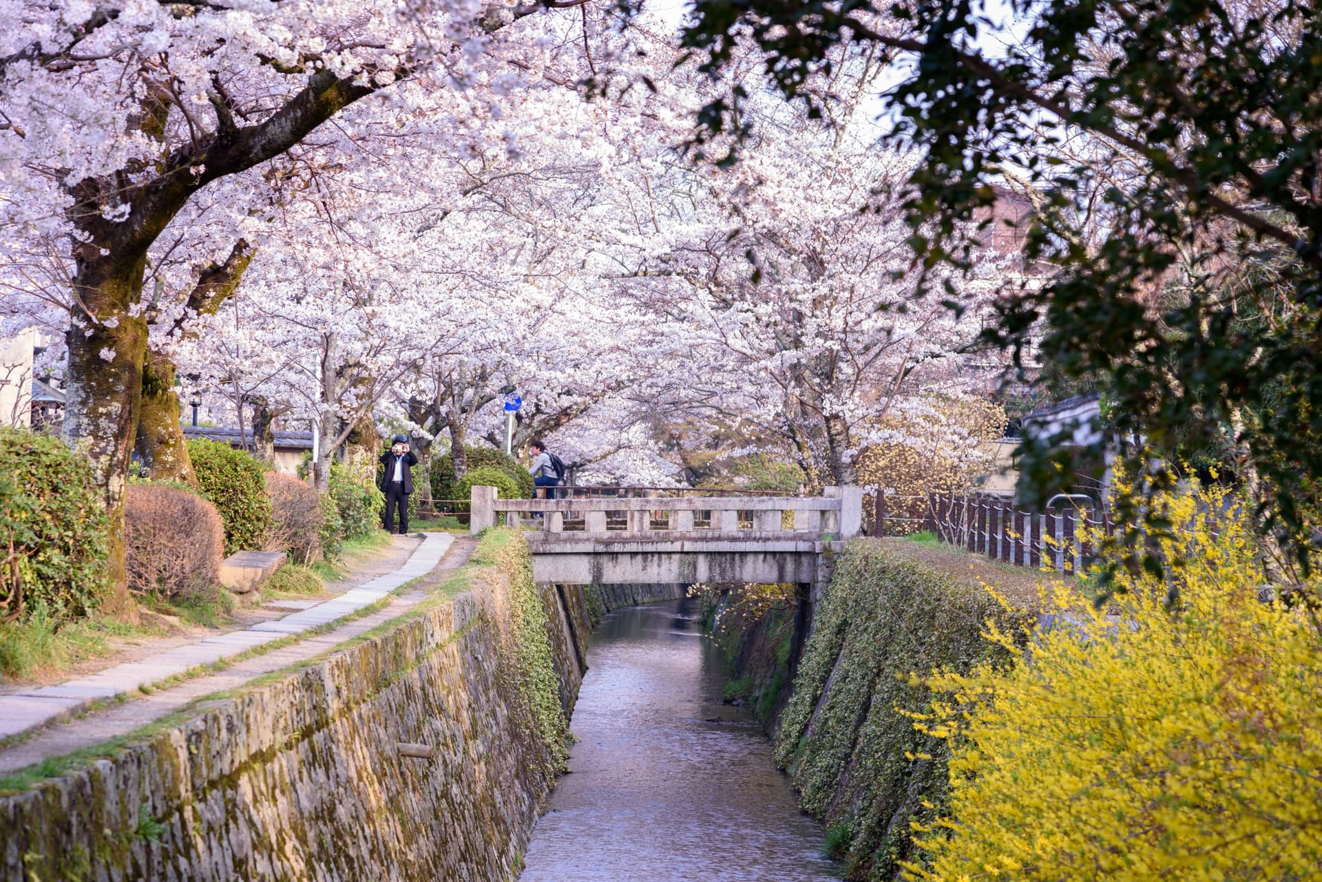 Le Japon, une île aux mille facettes