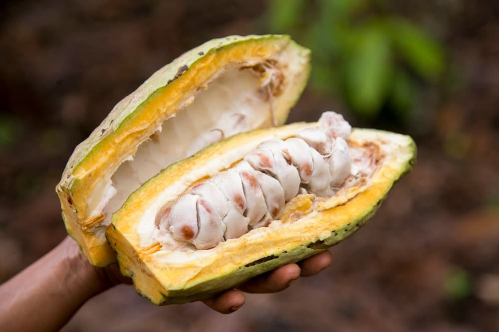 Jour 18