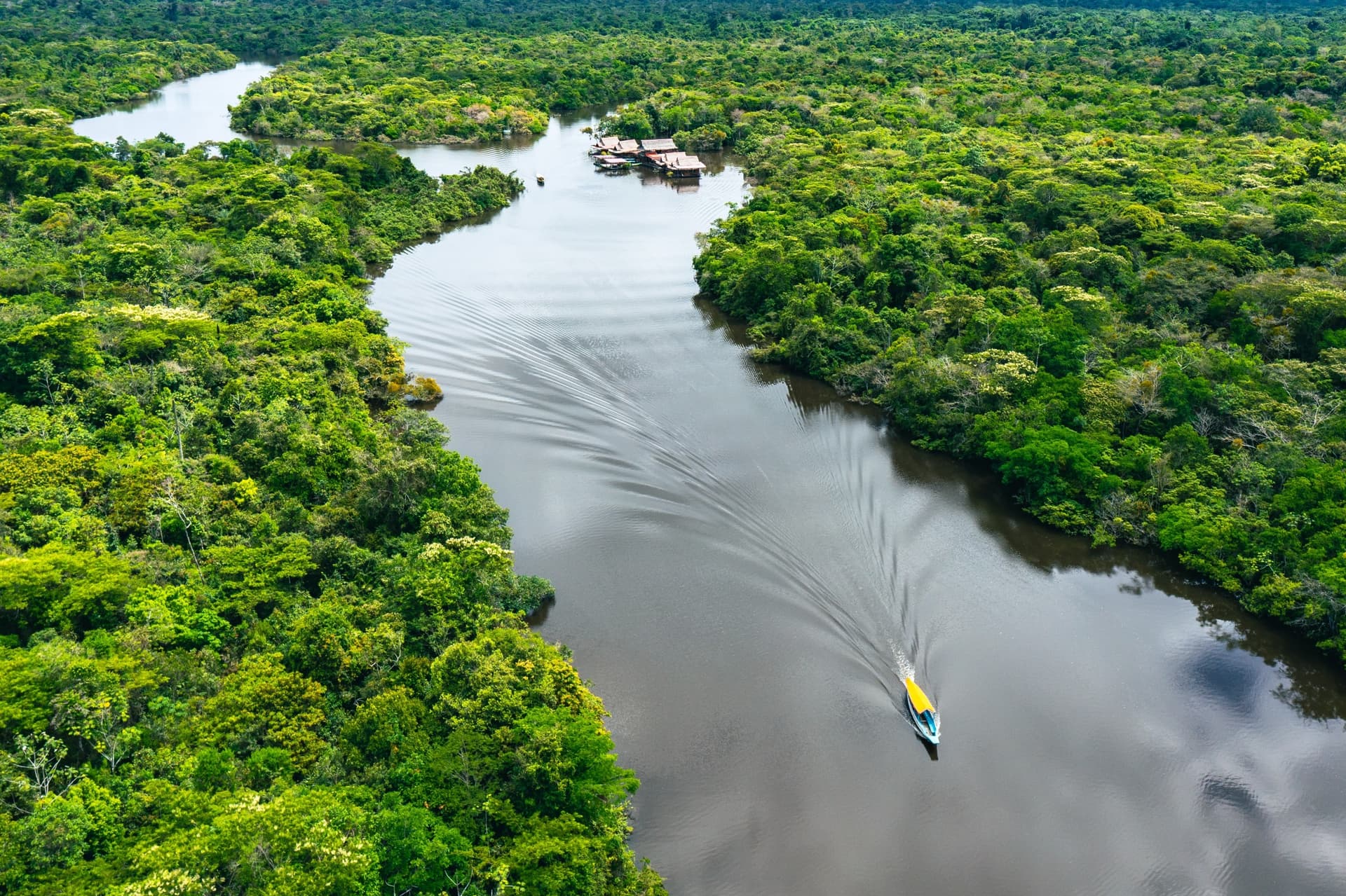 Crucero en Amazonia