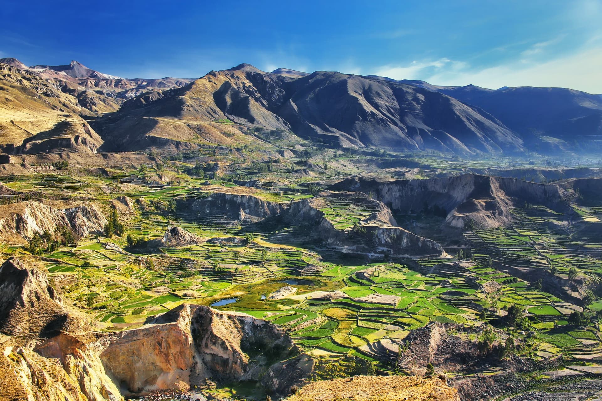 Los clásicos del Sur del Perú