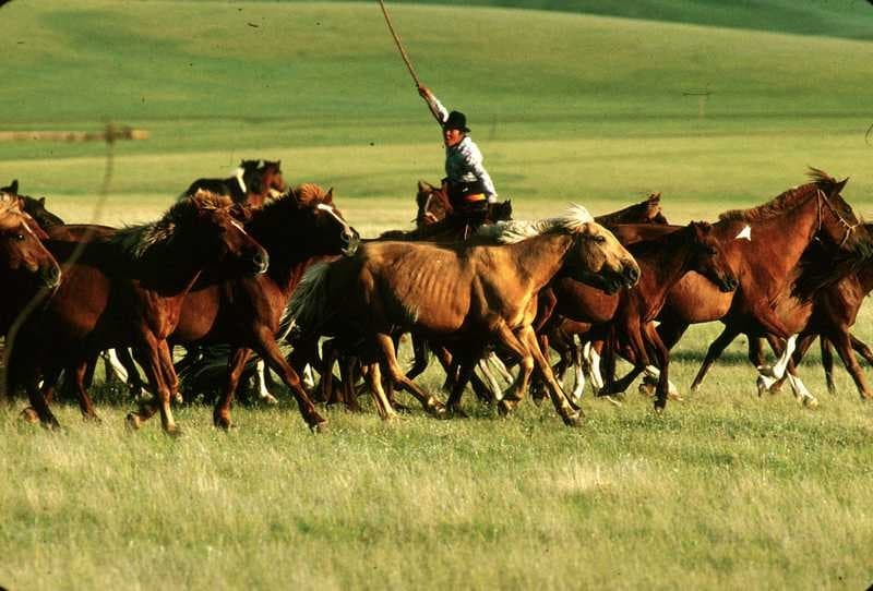 Maravillas de Mongolia