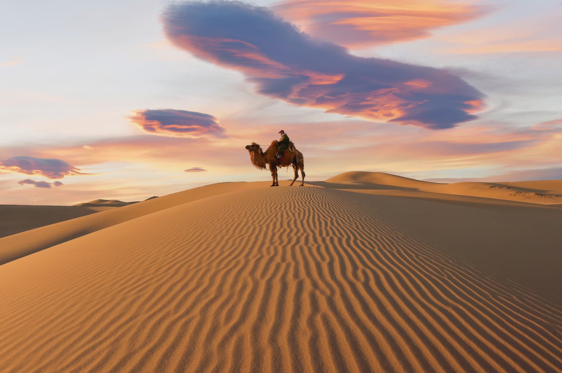 Cheval & Gobi