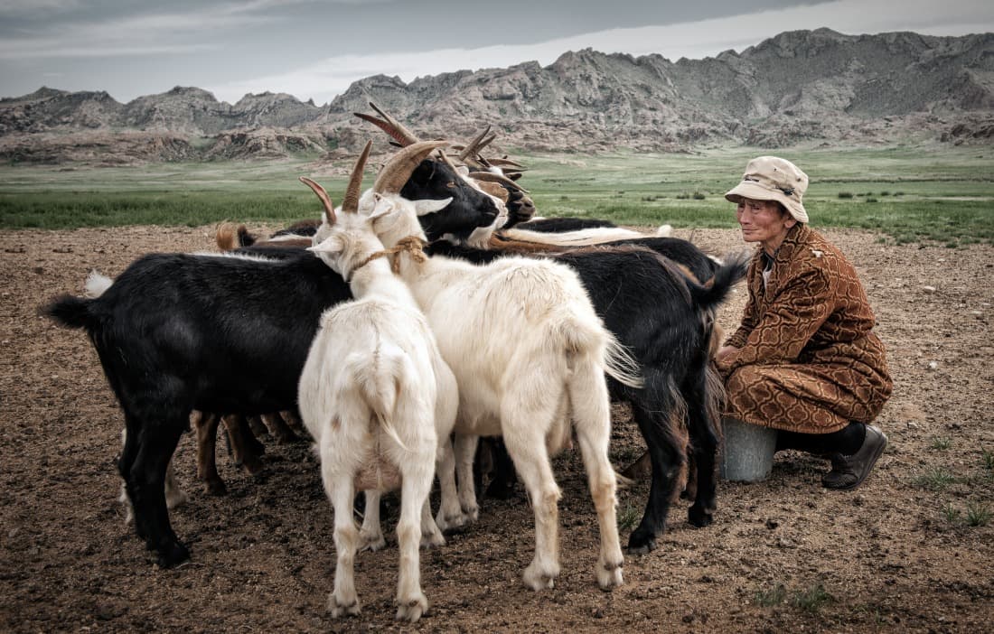 Itinérance en Mongolie centrale