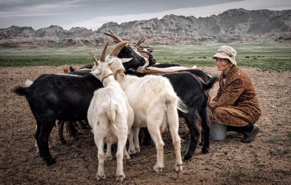 Itinerancia en Mongolia central
