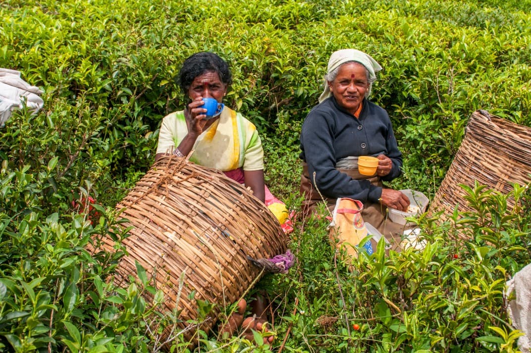 Le Sri Lanka en Famille