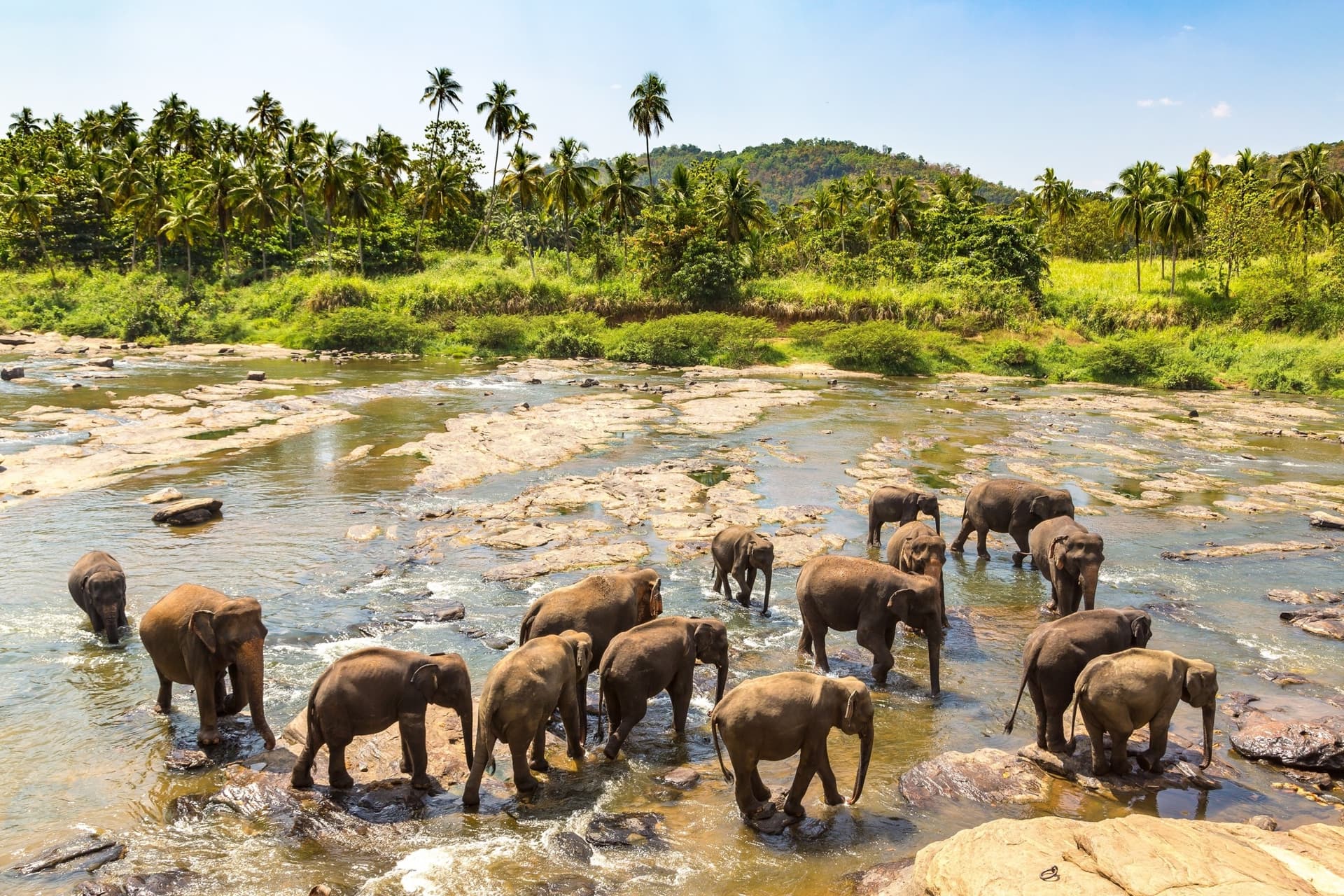 Las bellezas de Sri Lanka en familia