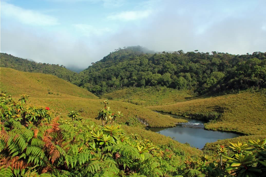 Trek au Sri Lanka