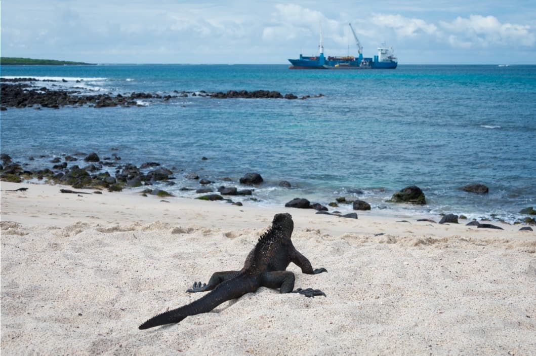 De Santa Cruz a San Cristóbal