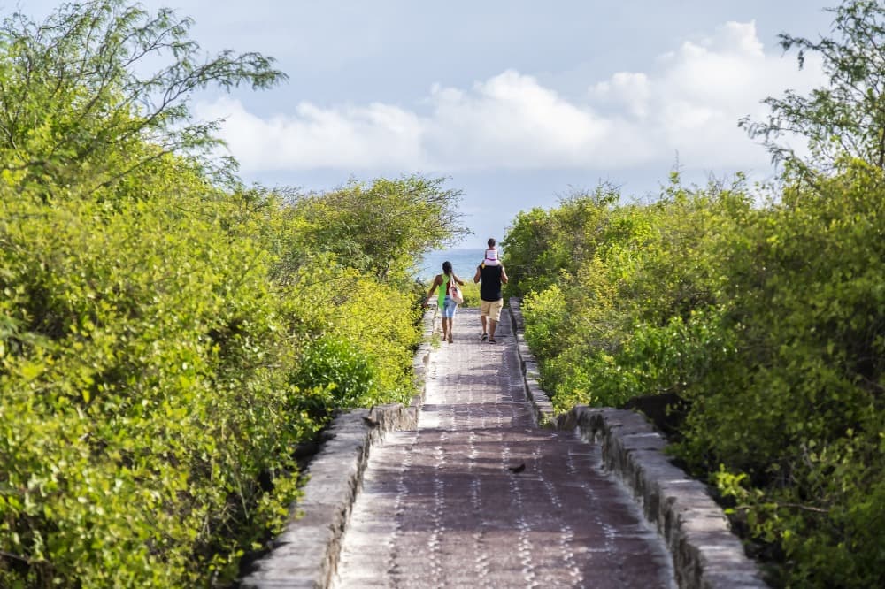 La isla de Santa Cruz en descubrimiento libre